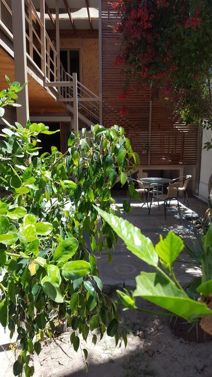 Amaru Hotel Copiapó Exteriör bild